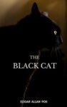 the-black-cat-63